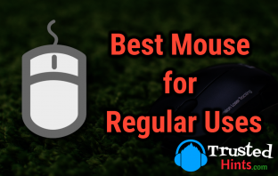 Best 8 Wireless Mouse for Regular Use
