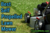 Best Self Propelled Lawn Mower