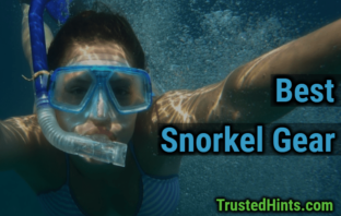 Best Snorkel Gear