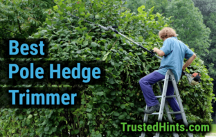 Best Pole Hedge Trimmer Reviews