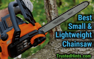 best small and lightweight chainsaw Reviews